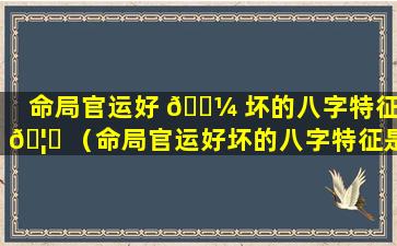 命局官运好 🐼 坏的八字特征 🦈 （命局官运好坏的八字特征是什么）